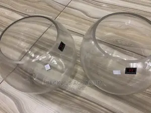 Large Fish Bowls
