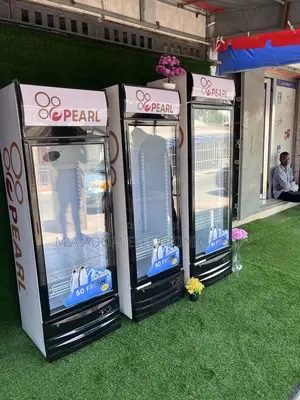 We Have Instock All Kind Display Fridges(178,248,318) Litres