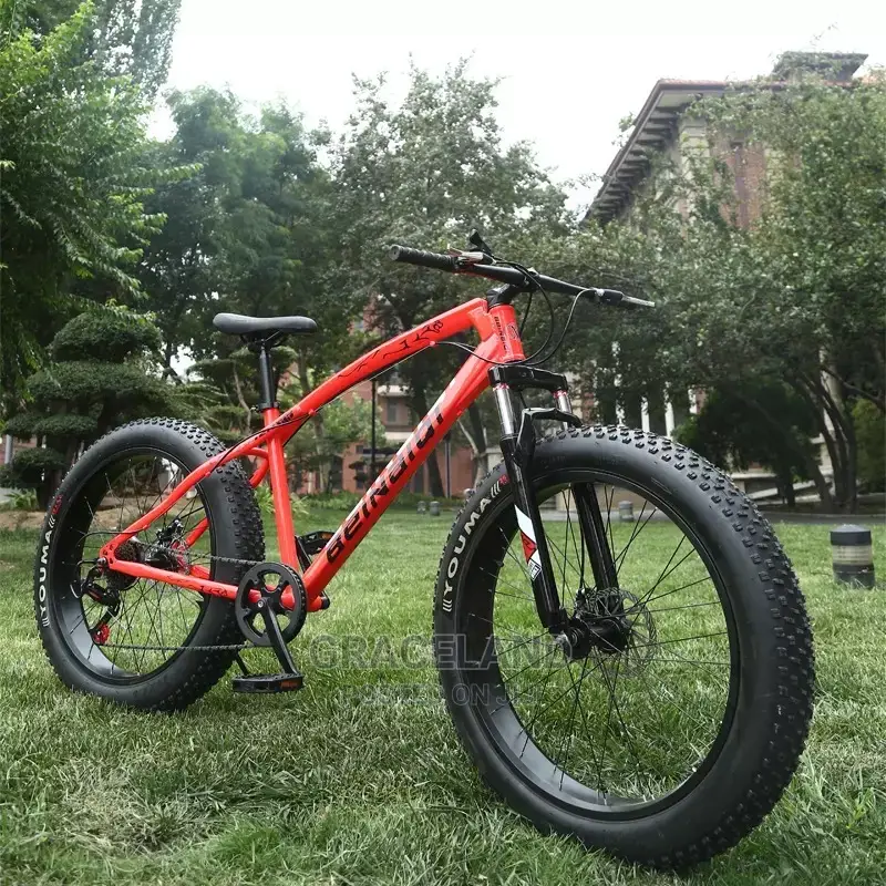 Mountain Bike 4.0 Large Fat Tire Damping Speed Offroad