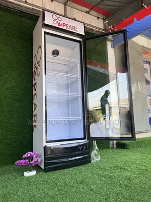 Showcase Fridge Pearl 318litres With Internal Led Light