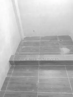 Professional Tiller