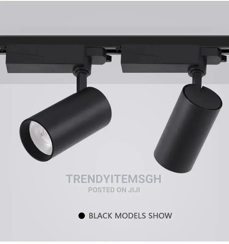 30W Cob LED Track Light