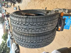 Tyres and Body Parts