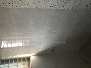 Professional Tiller