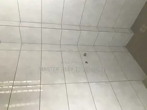 Professional Tiller