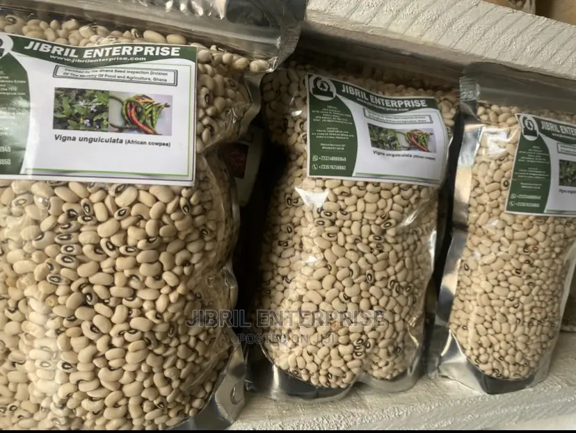 Ghanaian Black Eye Cowpea Seeds for Planting