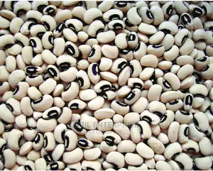Ghanaian Black Eye Cowpea Seeds for Planting