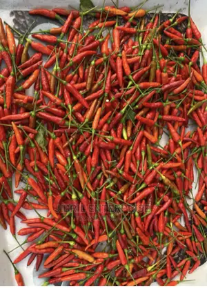 Wild Bird Eye Pepper