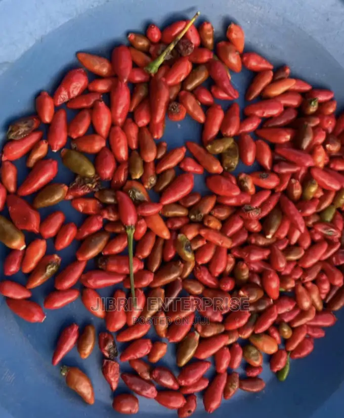 Pea Bird Eye Pepper