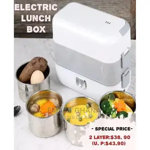 Electric Lunch Box/Food Warmer - White/Gray
