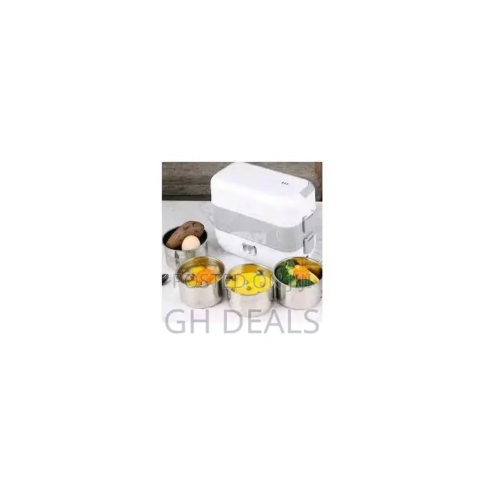 Electric Lunch Box/Food Warmer - White/Gray