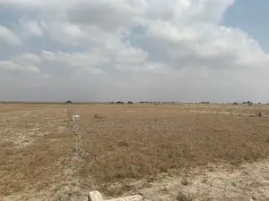 Titled Serviced Plots for Sale at New Airport City (Tsopoli