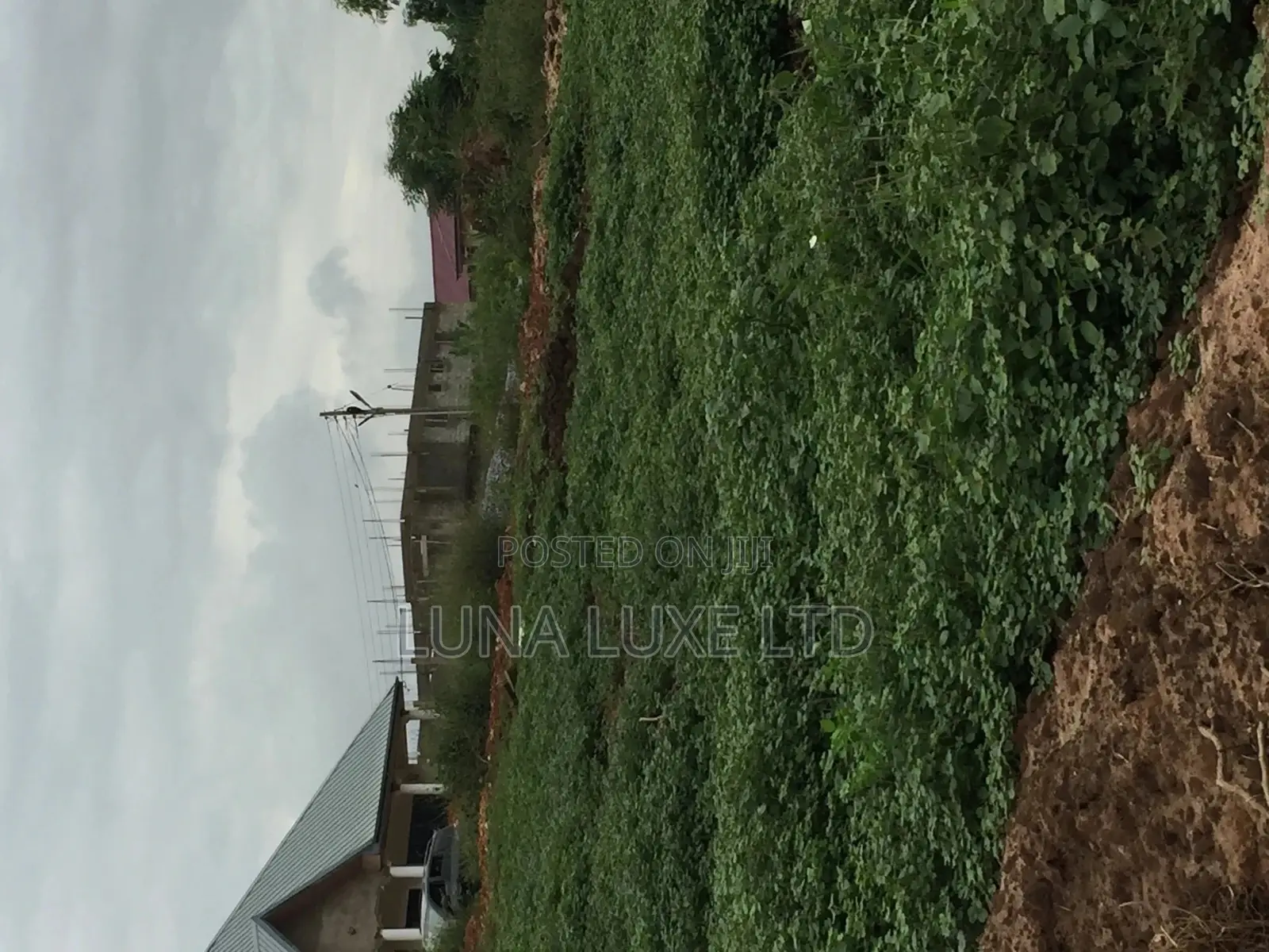 Land Registration and General Survey