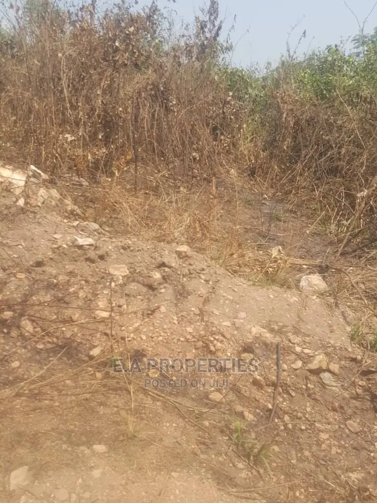 Dodowa Palm Wine Junction
