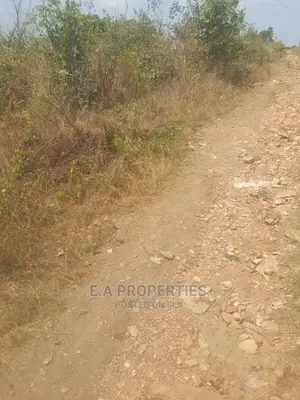Dodowa Palm Wine Junction
