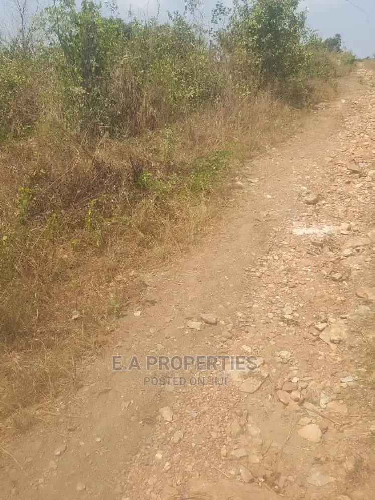Dodowa Palm Wine Junction