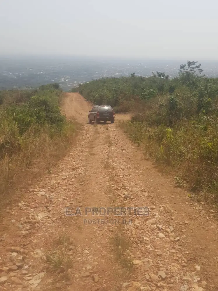 Dodowa Palm Wine Junction