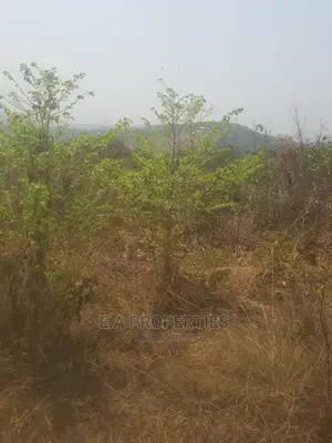 Dodowa Palm Wine Junction