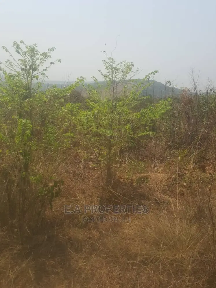 Dodowa Palm Wine Junction