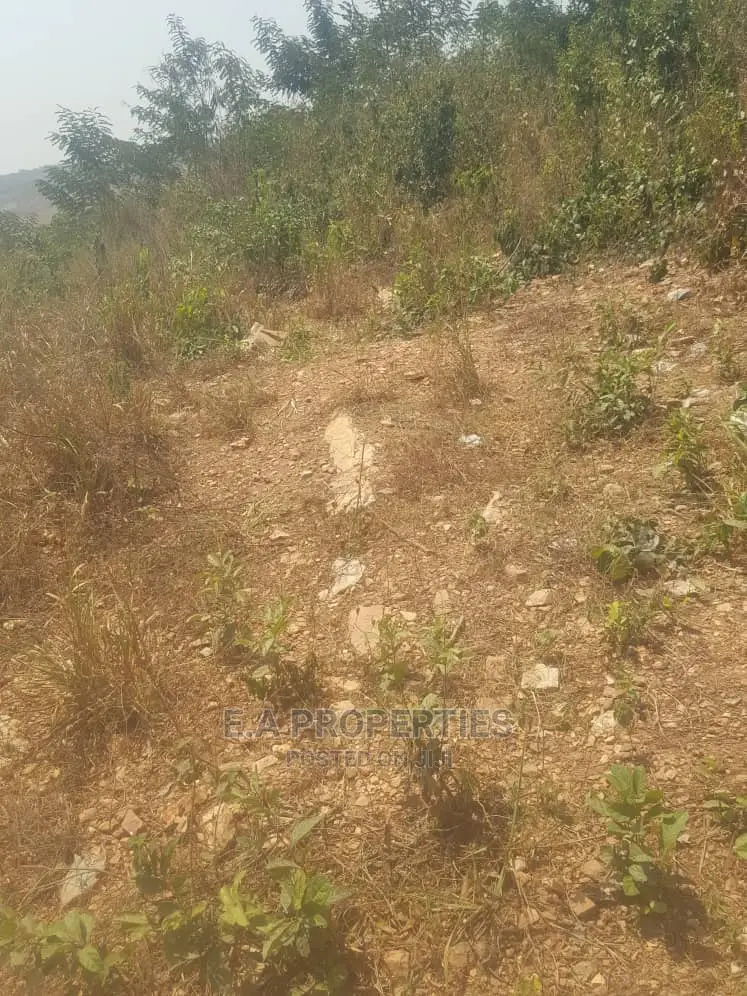 Dodowa Palm Wine Junction