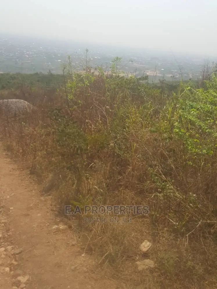 Dodowa Palm Wine Junction