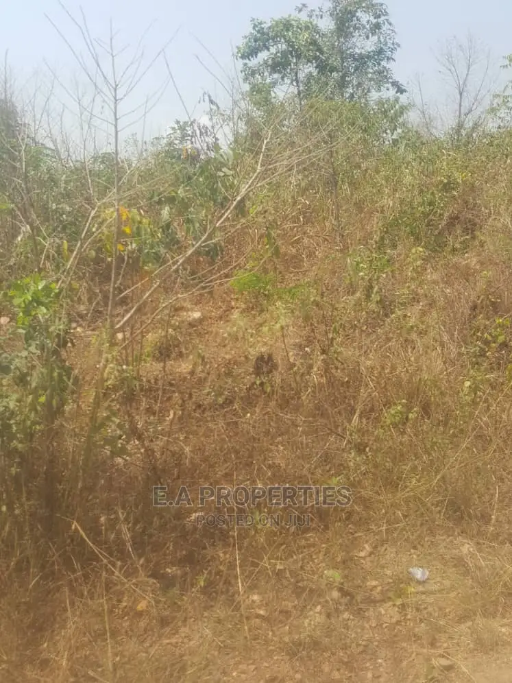 Dodowa Palm Wine Junction