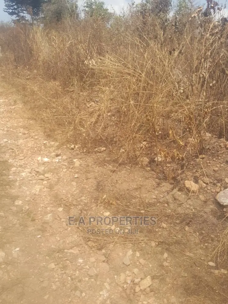 Dodowa Palm Wine Junction