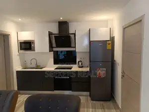 Furnished 1bdrm Apartment in Seekers Realty, Osu for rent