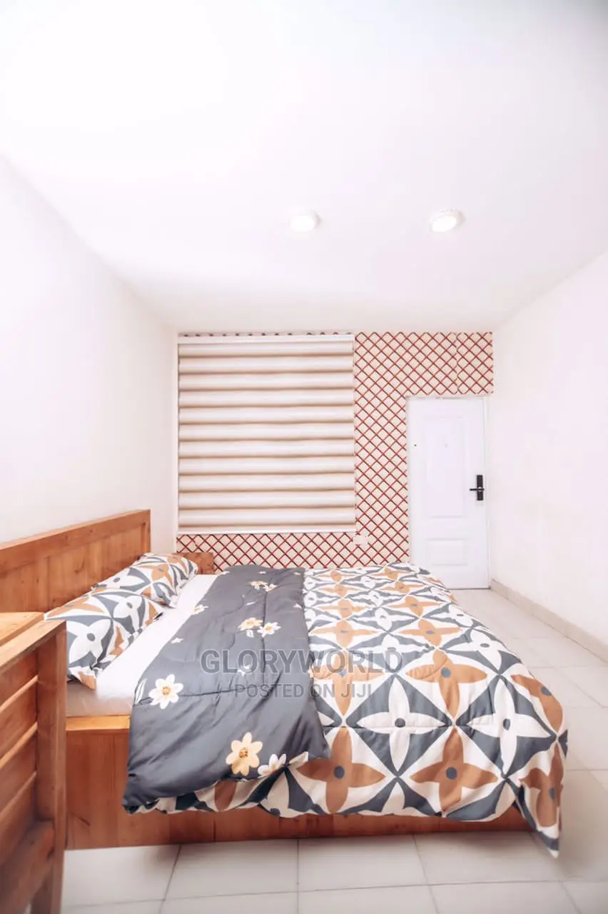 Beautifully Furnished Single Room at Spintex Manet