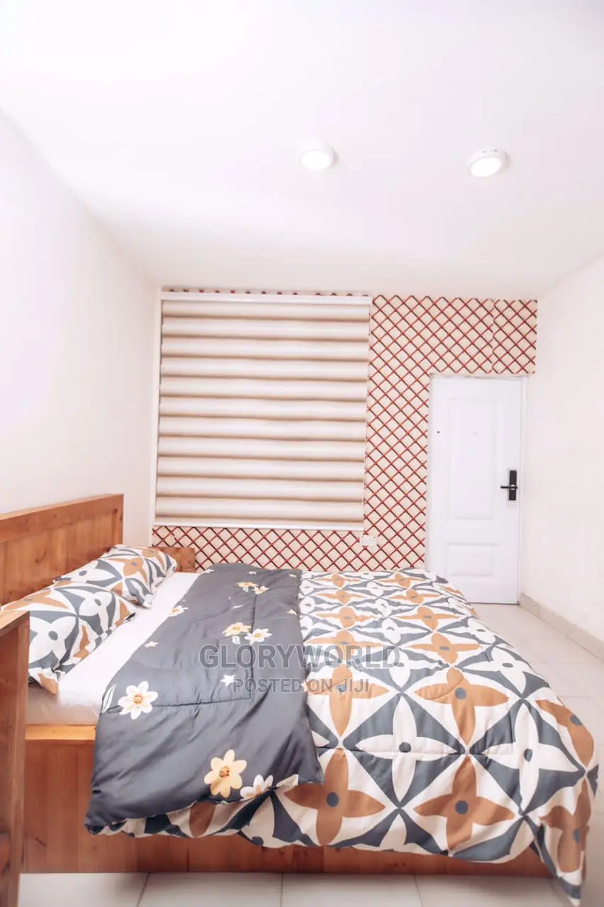 Beautifully Furnished Single Room at Spintex Manet