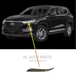 Santafe 2019 Headlight Moulding