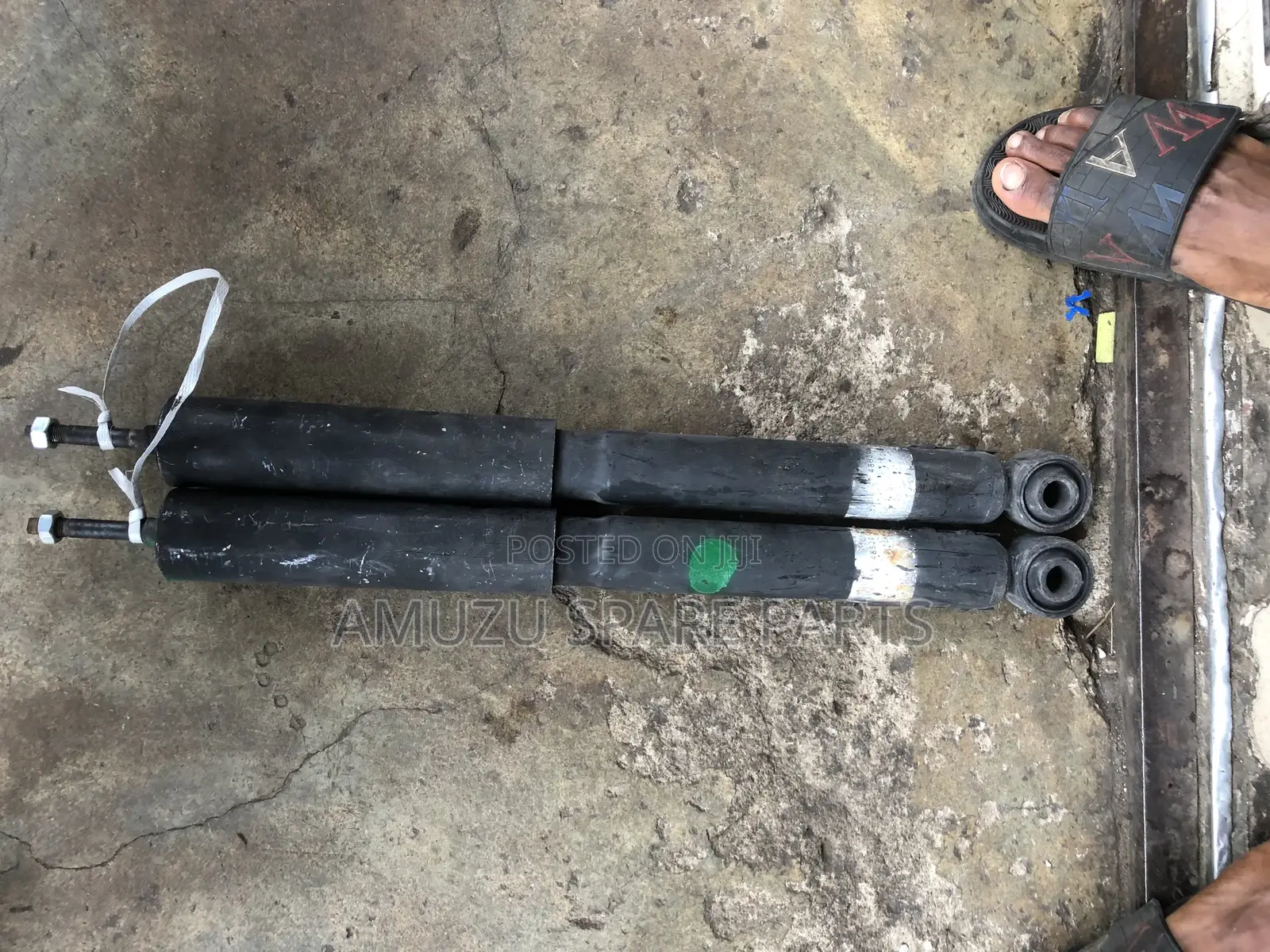 F J Crusier 2010 Back Shocks