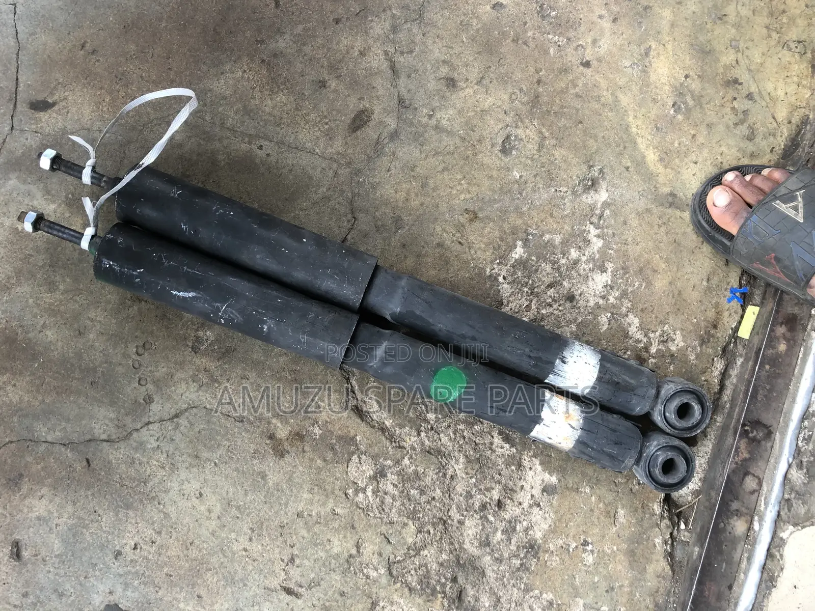 F J Crusier 2010 Back Shocks