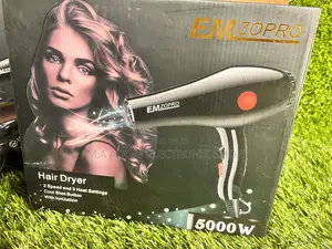 Emzo Pro Hair Dryer
