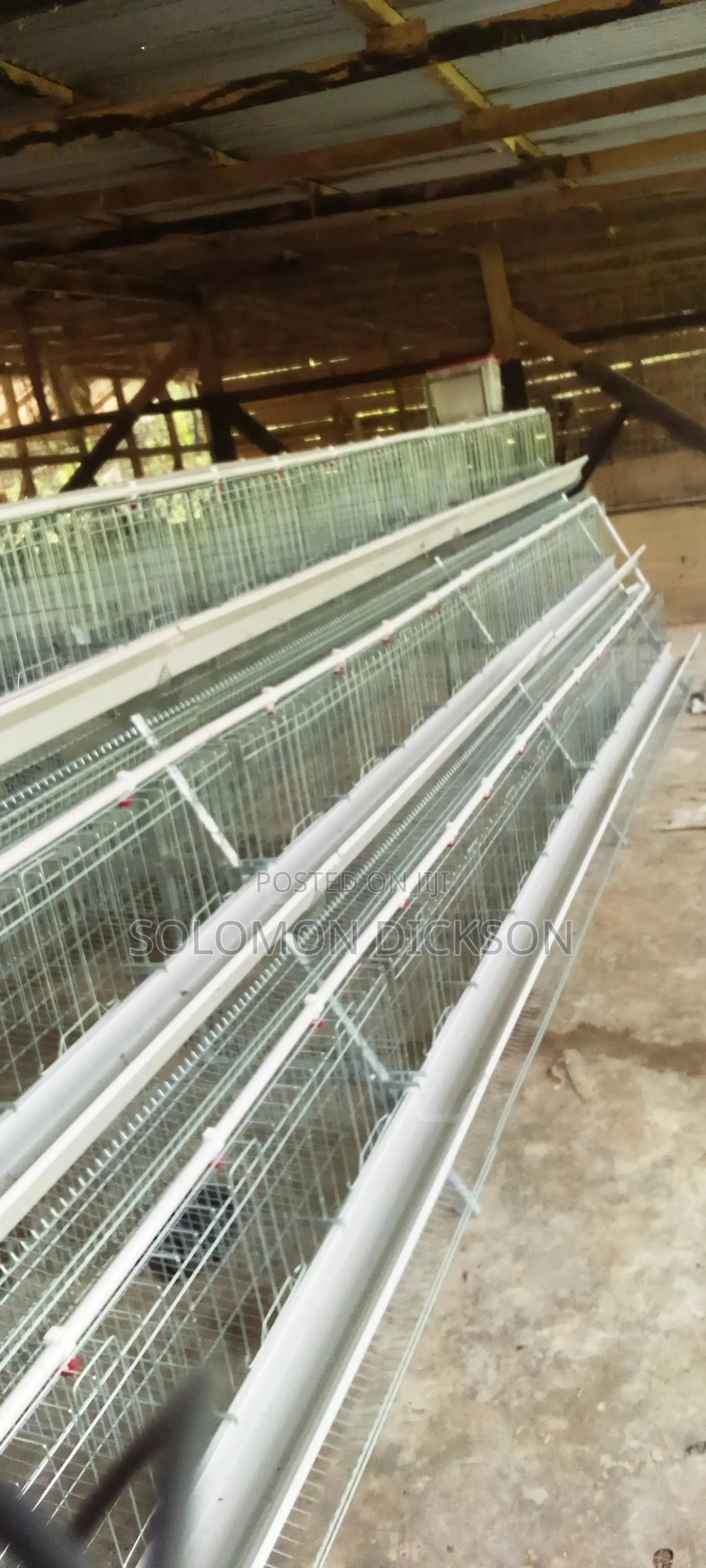 Battery Cage for 120 +160+500+1000+2000 Birds Capacity