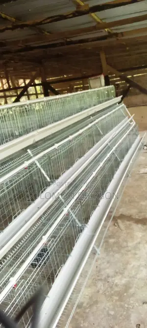 Battery Cage for 120 +160+500+1000+2000 Birds Capacity