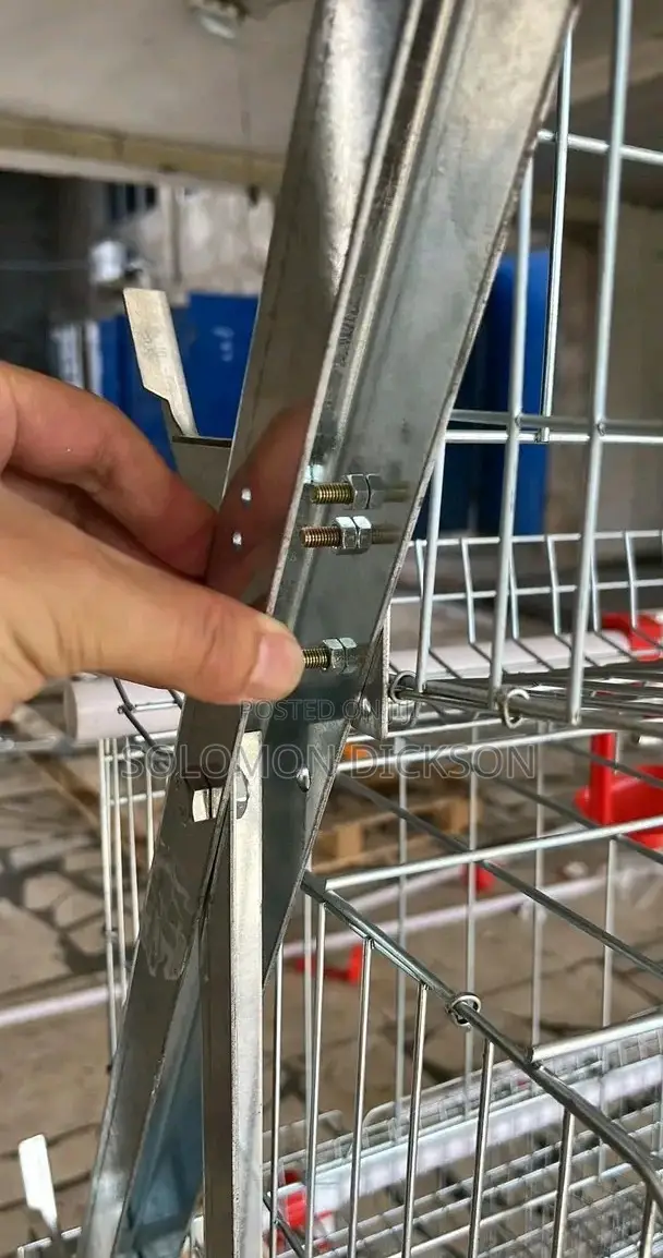 Battery Cage for 120 - 20,000 Birds Available