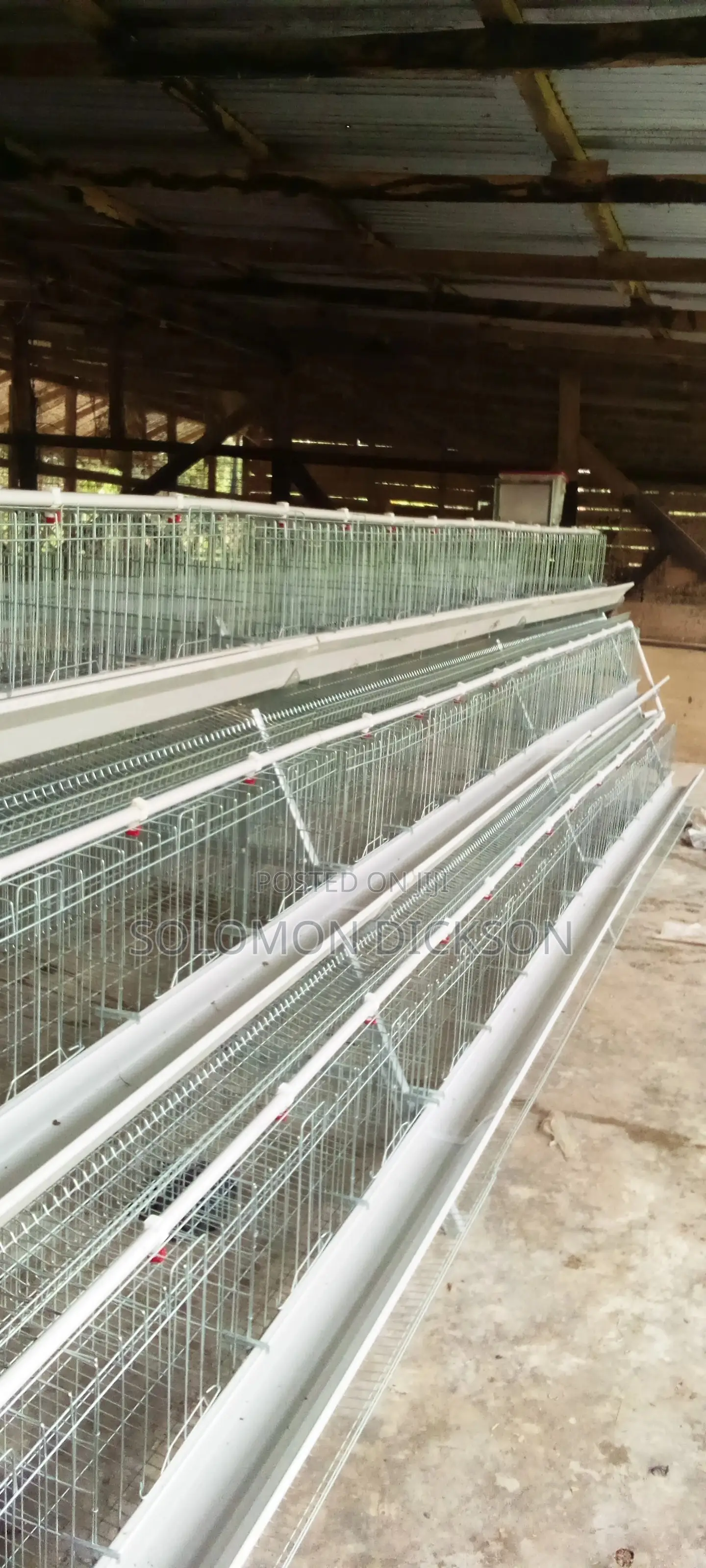 Battery Cage for 120 - 20,000 Birds Available