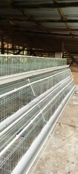 Battery Cage for 120 - 20,000 Birds Available