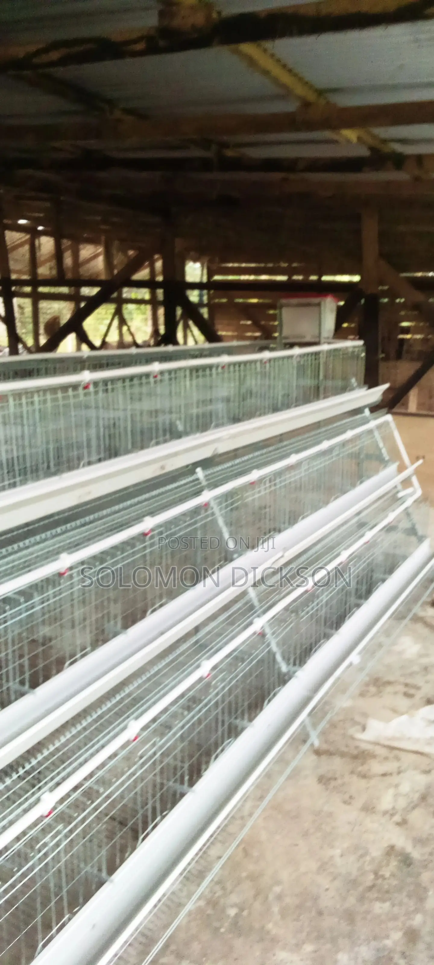 Battery Cage for 120 - 20,000 Birds Available