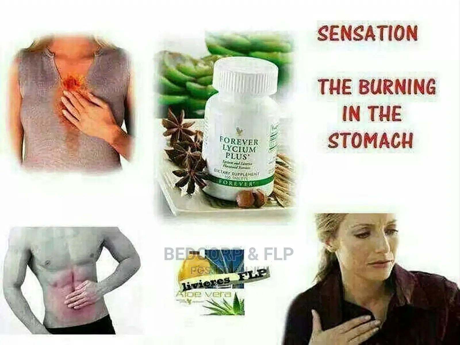 Forever Lycium Supplements 100 Tabs