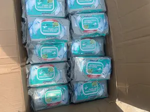 Ultra Compact Antibacterial Wipes,12packs/100sheets