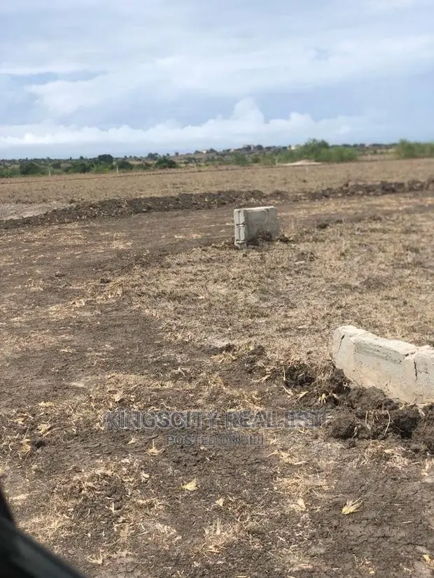 Well Planned City Lands at Tsopoli