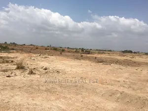 Nicely Demarcated Plots for Sale at Tsopoli
