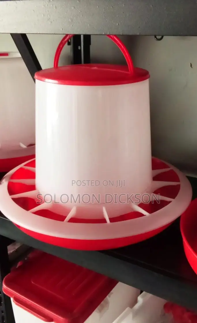Feeders for Poultry Birds Available