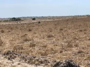 Exclusive Sales on Tsopoli Lands