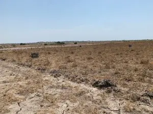 Exclusive Sales on Tsopoli Lands
