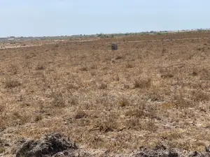 Ghana Best Real Estate Company to Trust With Buying Land