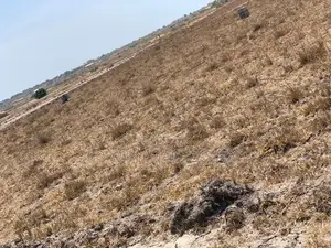 Don't Miss Tsopoli and Ningo Prampram Registered Land