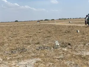Don't Miss Tsopoli and Ningo Prampram Registered Land